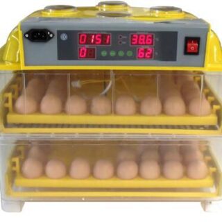 Egg Incubator