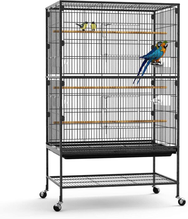 Parrots cage