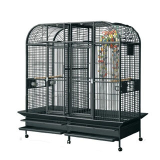 Parrots cage