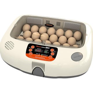 R-com 20 Max Incubator