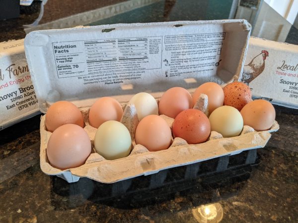 Fresh Chicken Table Eggs